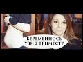 БЕРЕМЕННОСТЬ 16-20 НЕДЕЛЬ- Senya Miro