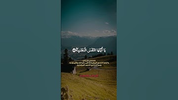 ارجعي إلى ربك راضية مرضية ❤️ #سورة_الفجر #ماهر_المعيقلي #تلاوة_خاشعة #صوت_جميل #قرآن_كريم #دعم