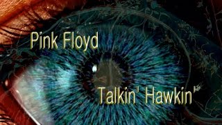 Pink Floyd - Talkin&#39; Hawkin&#39;- The Endless River  (psychedelic video)