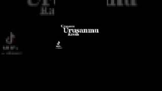 Download Lagu Rasah Nyangkem - Pakdhe Baz MP3 Download Lagu Rasah Nyangkem - Pakdhe Baz MP3