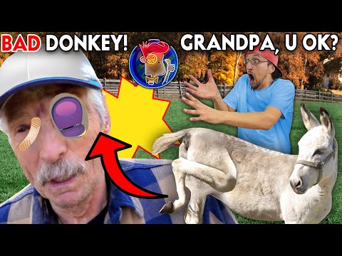 DONKEY KICKED MY GRANDPA!  GETTING RID OF BAD WOODROW 4 GOOD!!!!  (FV Family Vlog)