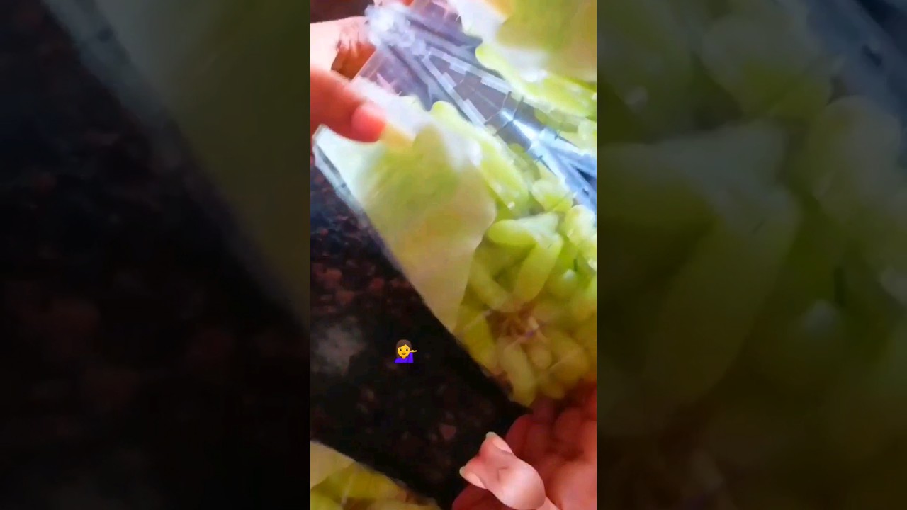 country delight 👆free membership full video 