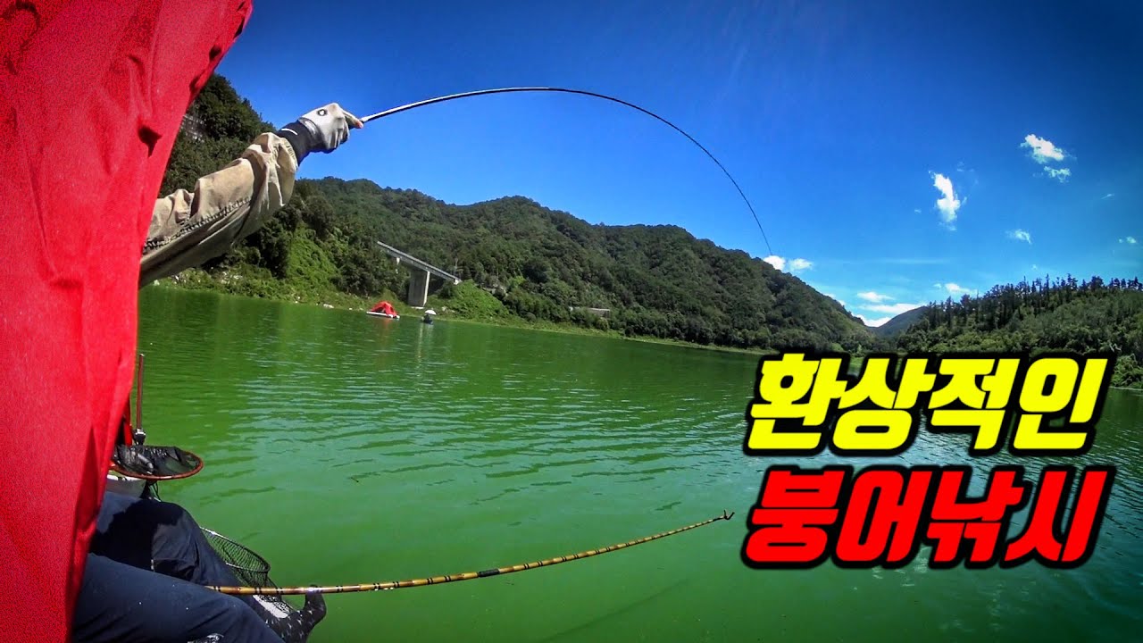대박사건!! 댐낚시 오름수위 낮에만 대물붕어 20마리!?