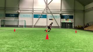 T-sprint / test