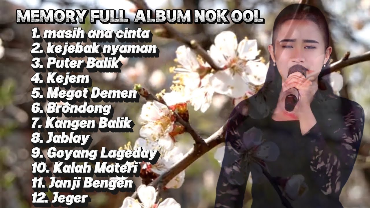 FULL ALBUM LAGU SANDIWARA ANEKA TUNGGAL - MEMORY NOK OOL