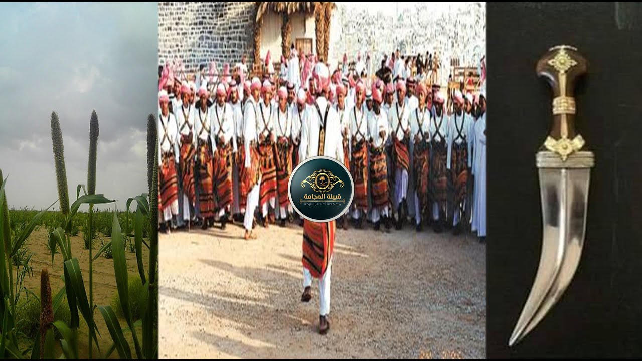 شيلة اهداء للمصابين وذوي الشهداء من قبيلة المجامة