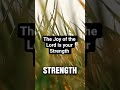 The Joy of the Lord is your Strength #dailyprayers #joy#morningprayer