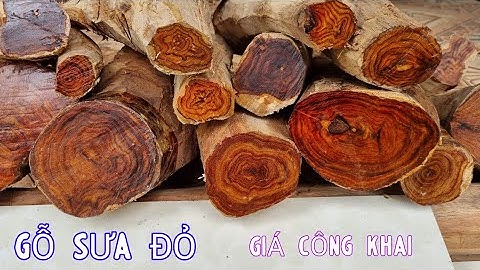 Gỗ Sưa Đỏ 20 Năm Tuổi Giao Lưu Với Anh Em Chỉ Vài Chục Ngàn Đã Mua Được Gỗ Sưa Bắc Non