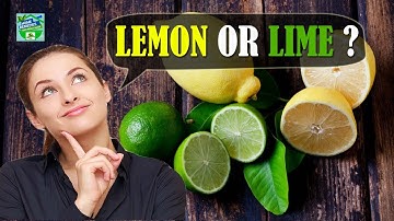Lemon Or Lime ? Which One To Pick ? Clear The Confusion