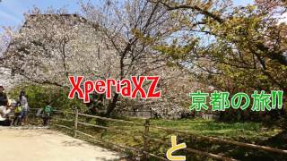 XperiaXZ高画質カメラで撮った京都桜の旅!!【XperiaXZ写真・動画撮影集】