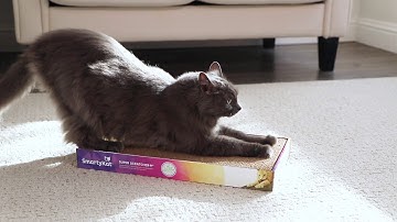 SmartyKat® Super Scratcher+® corrugated cat scratcher with Catnip Infusion Technology™