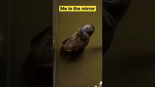 Me in the mirror