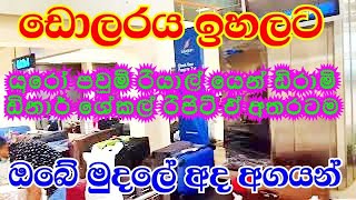 USD  rate increased l Foreign Exchange rate in Katunayake today l Airport bank Sri Lanka