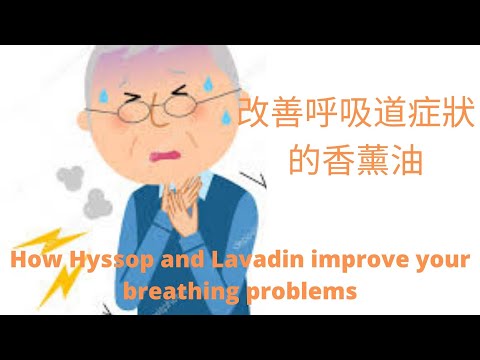 How to improve your breathing system problems and diseases using HYSSOP and LAVANDIN 如何改善呼吸的香薰精油🫁