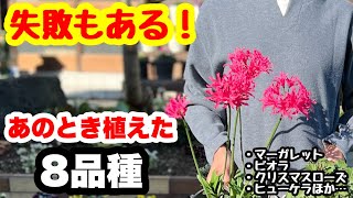 ◇ [Failure is important!] I'll show you what happens afterwards