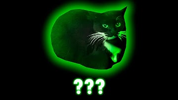 9 Maxwell The Cat Theme Sound Variations in 1 minute (pt. 2)