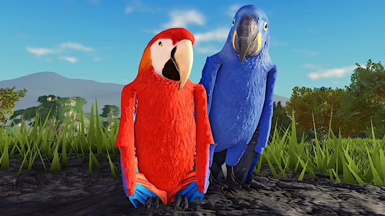 Macaw Preview 🦜 - Jungle Life