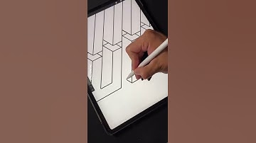 I made the impossible drawing on my iPad