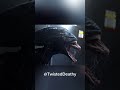 Alien or Predator