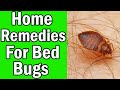 9 Home Remedies For Bed Bugs That Work Fast
