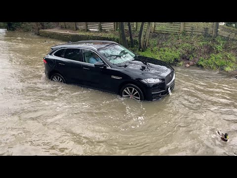 Jaguar Doesn't Do Deep Water || ViralHog