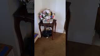 Blue Moon Estate Sale Sioux Falls