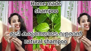 100%Natural homemade Shampoo/️ Reduce dandruff,Hair fall/Litha Anoop/Angel's world