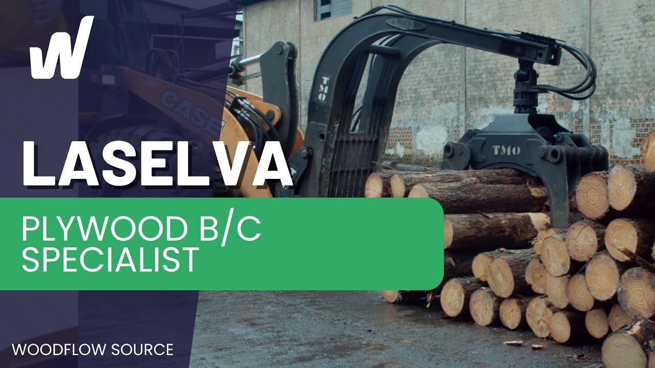 Becoming a Plywood B/C Specialist: Visit Laselva