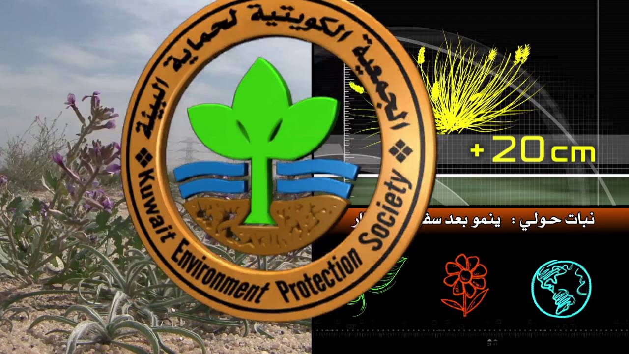 برنامج كل يوم نبته حلقة نبات الخزامى الحلقة السادسة والعشرون