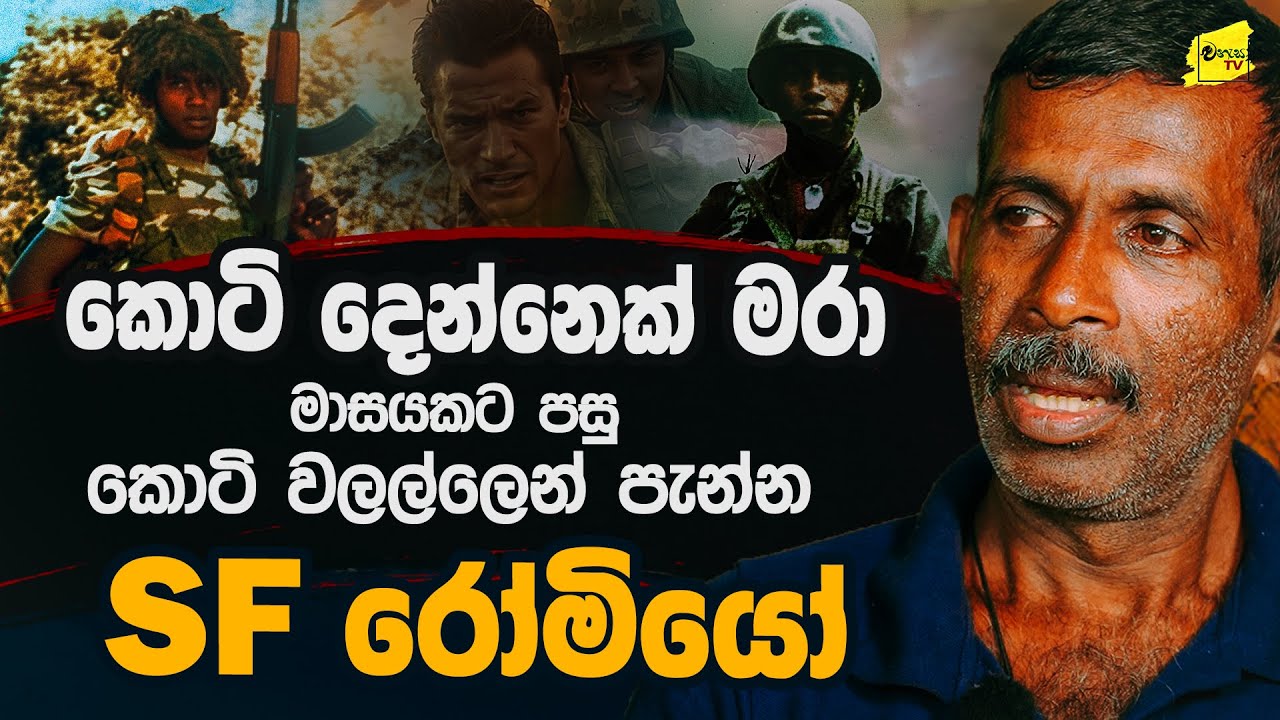 මාසයකට පසු කොටි දෙදෙනකු එලොව යවා කොටි වලල්ලෙන් පැන්න SF රෝමියෝ @wanesatv
