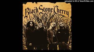 Black Stone Cherry – Tired Of The Rain