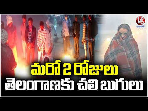 IMD Issues Cold Wave Alert To Telangana For Next 2 Days | Weather Report | V6 News - V6NEWSTELUGU