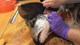 How To Fillet a Whole Salmon \/ How To Make Nigiri Sushi -Taiwanese street food