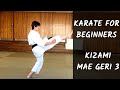 Karate for Beginners #44 - Kizami Mae Geri with punch techniques SLOWLY.