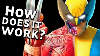 How Wolverine's Healing Factor Works (With Science)