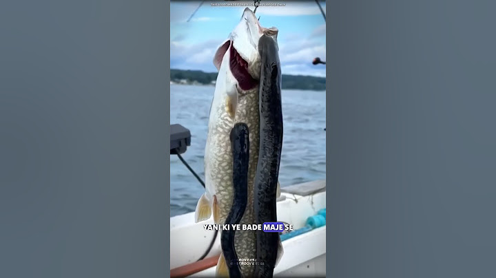 Sea lamprey #science #sciencefacts
