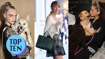 Top 10 Cutest Celebrity Pets