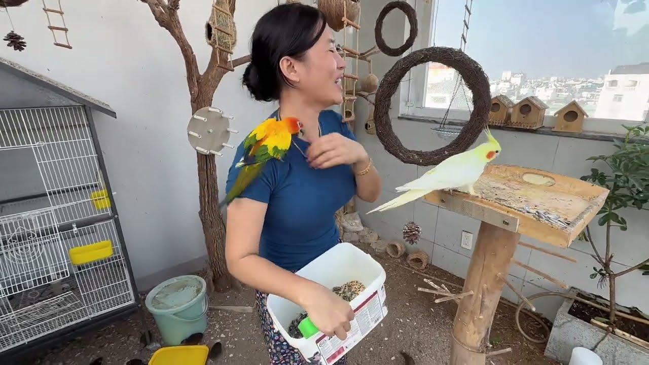 ✨ Buổi sáng cho chim ăn trong aviary trên sân thượng | PMK JOLIE ✨