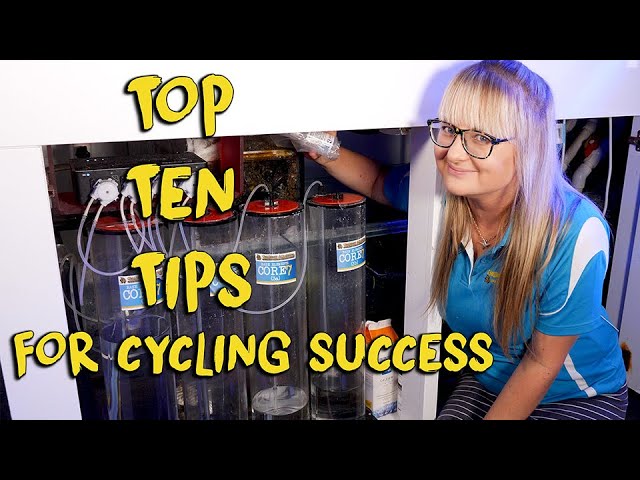 Top 10 Tips for Cycling Success | Beginner Aquarium Tutorial | Gallery Aquatica TV class=