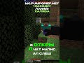 Я ПРОСТО БЕГАЛ ПО МИРУ И ВСТРЕТИЛ АДМИНА #minecraft #reallyworld #pumpgrief #анархия #funtime