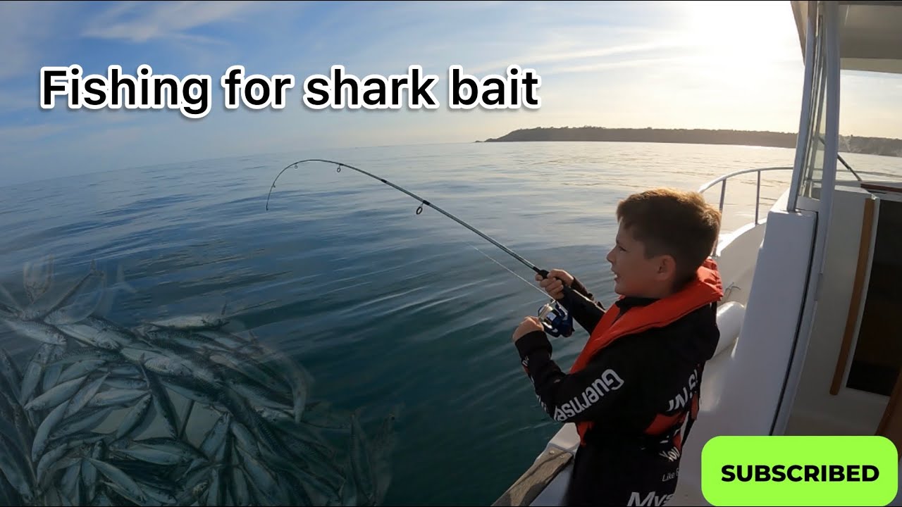 Mackerel / Scad Fishing 