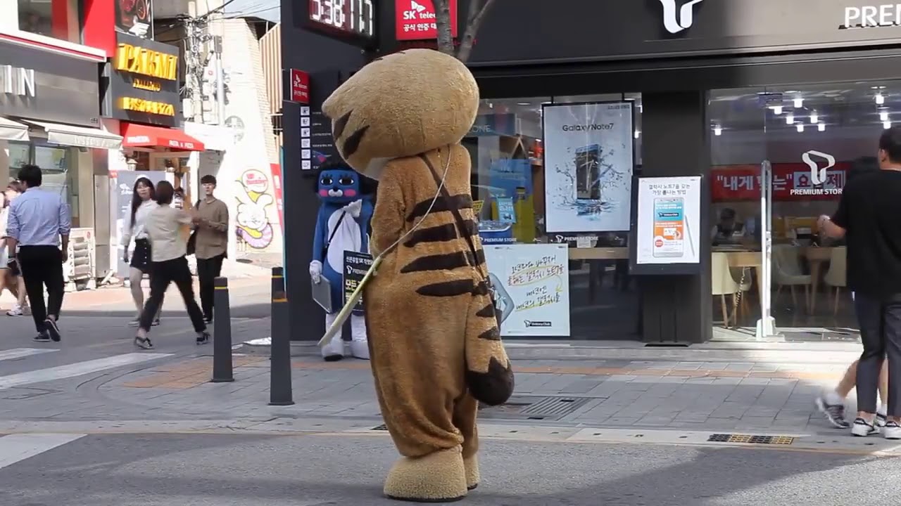 신촌 냥카페알바 통신사알바 배틀댄스?