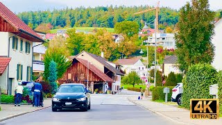 : Driving In Switzerland | Autumn Vibes _ Scenic drive through the colorful session !