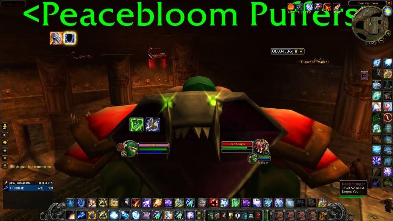 World of Warcraft SoD P4 Shaman Solo BRD Arena Sub 8 Mins YouTube