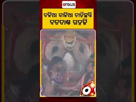 Balia Kalia Gaze At Bada Danda Crowd: Divine Darshan Of Lord Jagannath From Chariot | Argus News