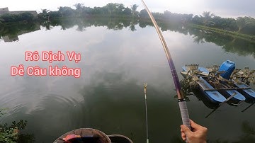 Fishing | Câu Đài | Cùng Em Gãy Rô Phi Dịch Vụ Sau 45 Ngày Không Đi Câu | Nghiện Câu TV | T