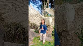 ada burung besar #trandingshorts