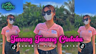 Dj Tenang Tenang Cintaku  Judika  Bandmix 