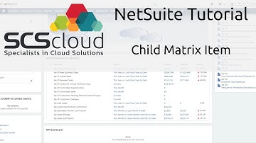 NetSuite Tutorial - Child Matrix Item