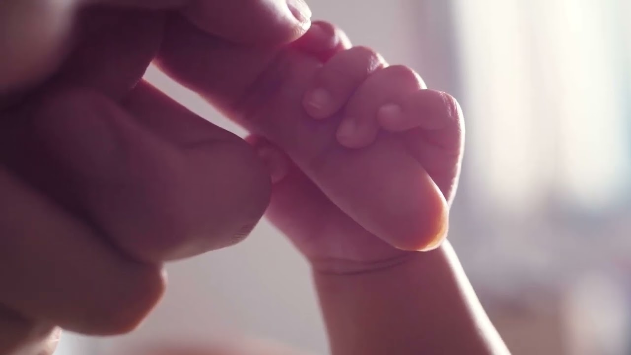 Fearfully and Wonderfuly Made